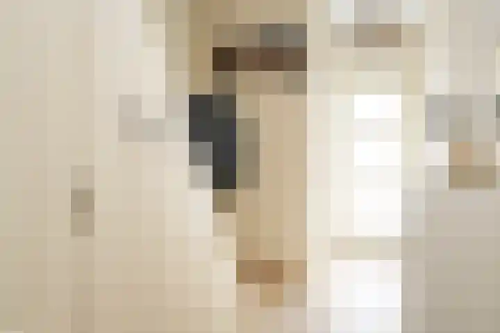 Steenbakkersweg 22 a Rheden thumbnail 8