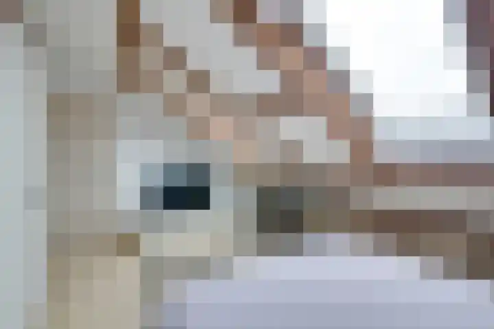 Steenbakkersweg 3 C 29 Erm thumbnail 33