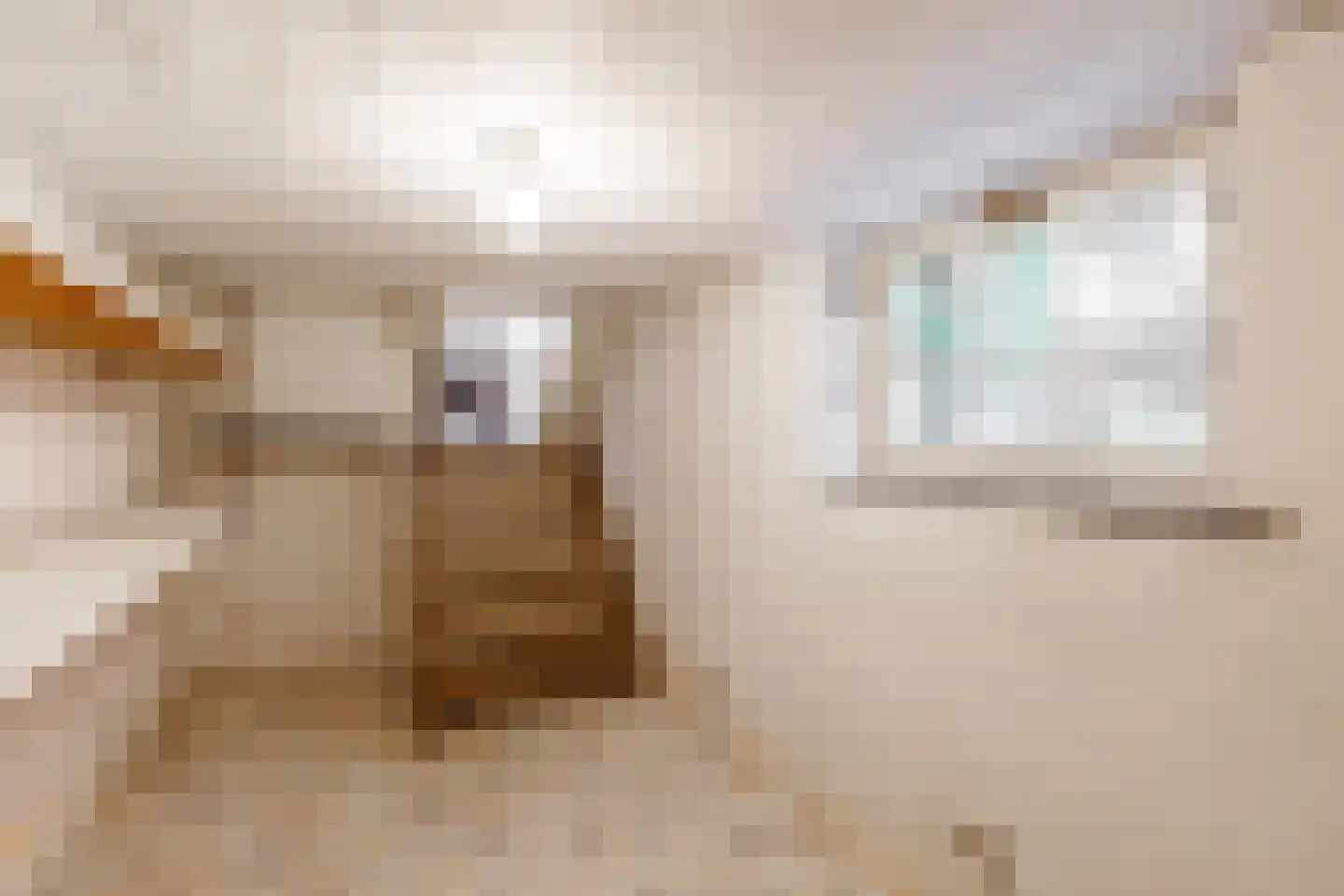 Steenbakkersweg 34 Hengelo thumbnail 22
