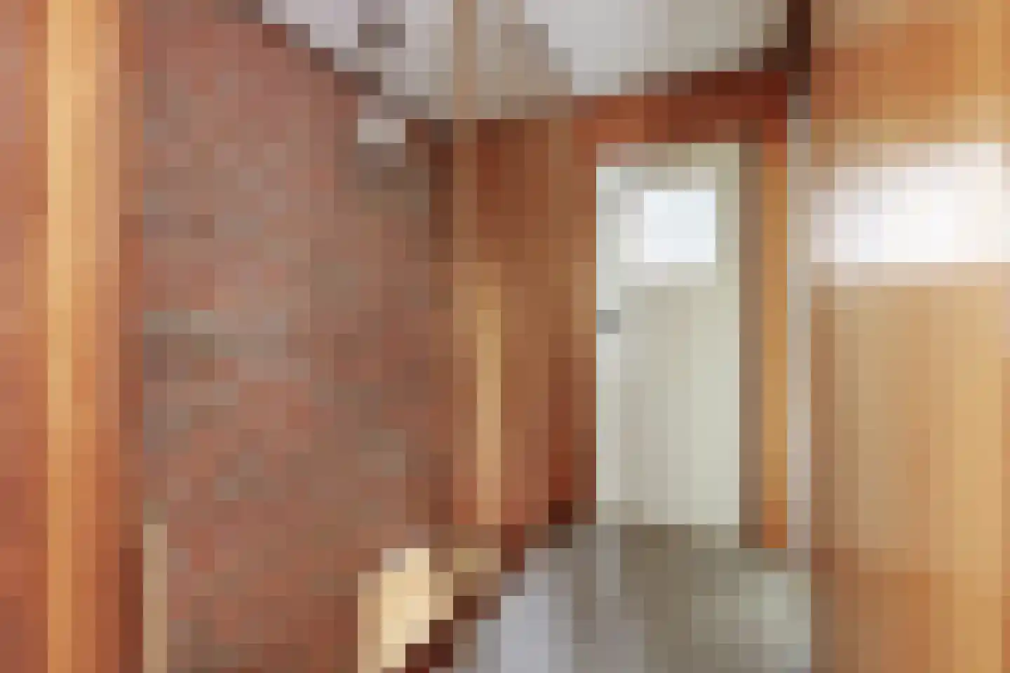 Steenbakkersweg 34 Hengelo thumbnail 43