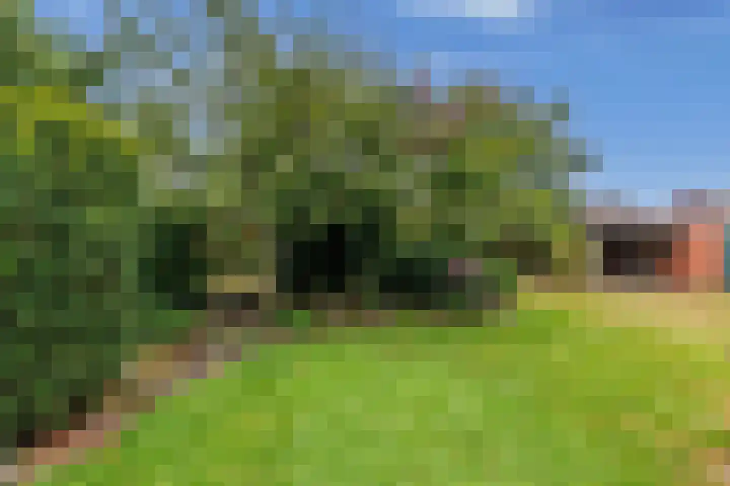 Steenbakkersweg 34 Hengelo thumbnail 49