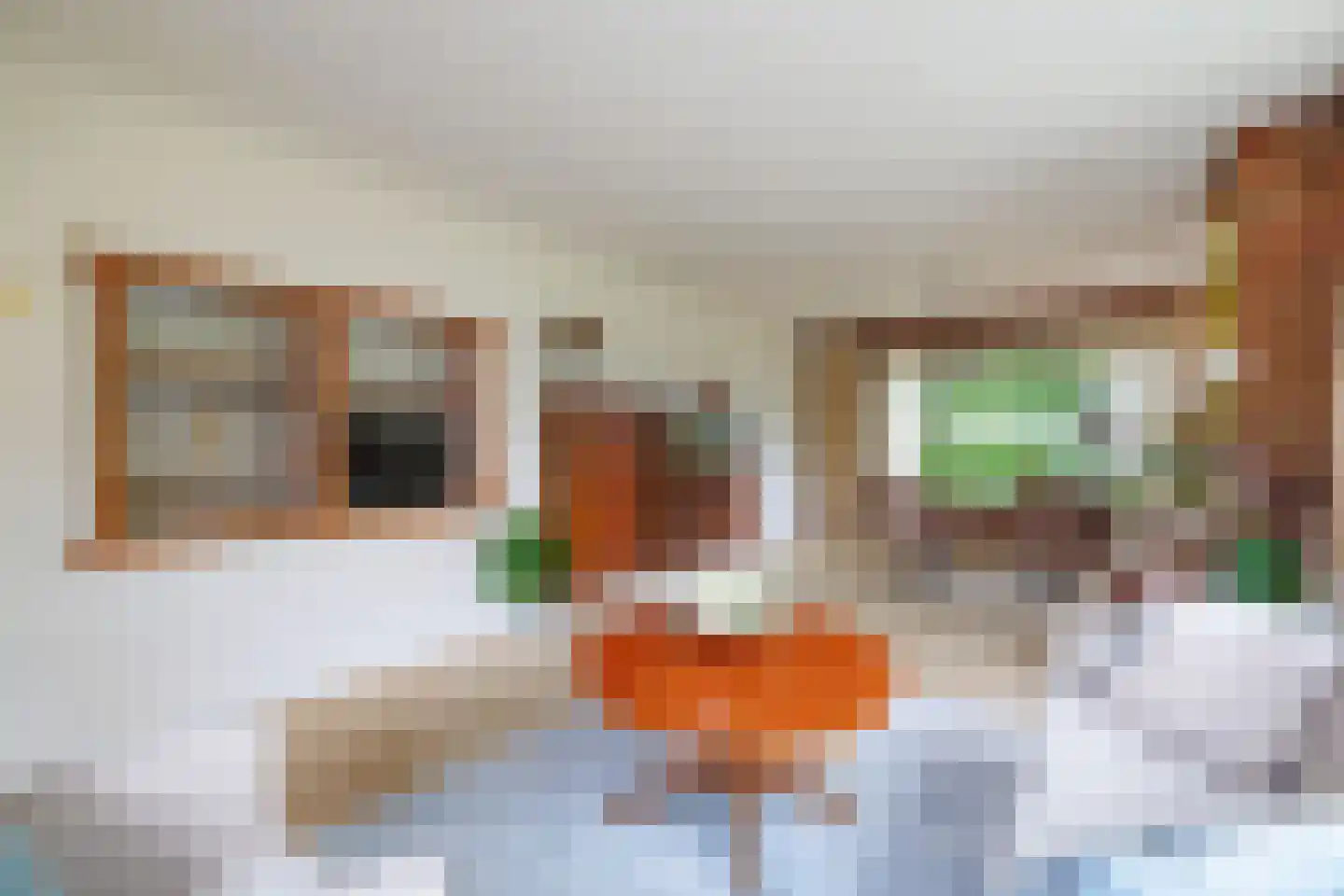 Steenbakkersweg 34 Hengelo thumbnail 5