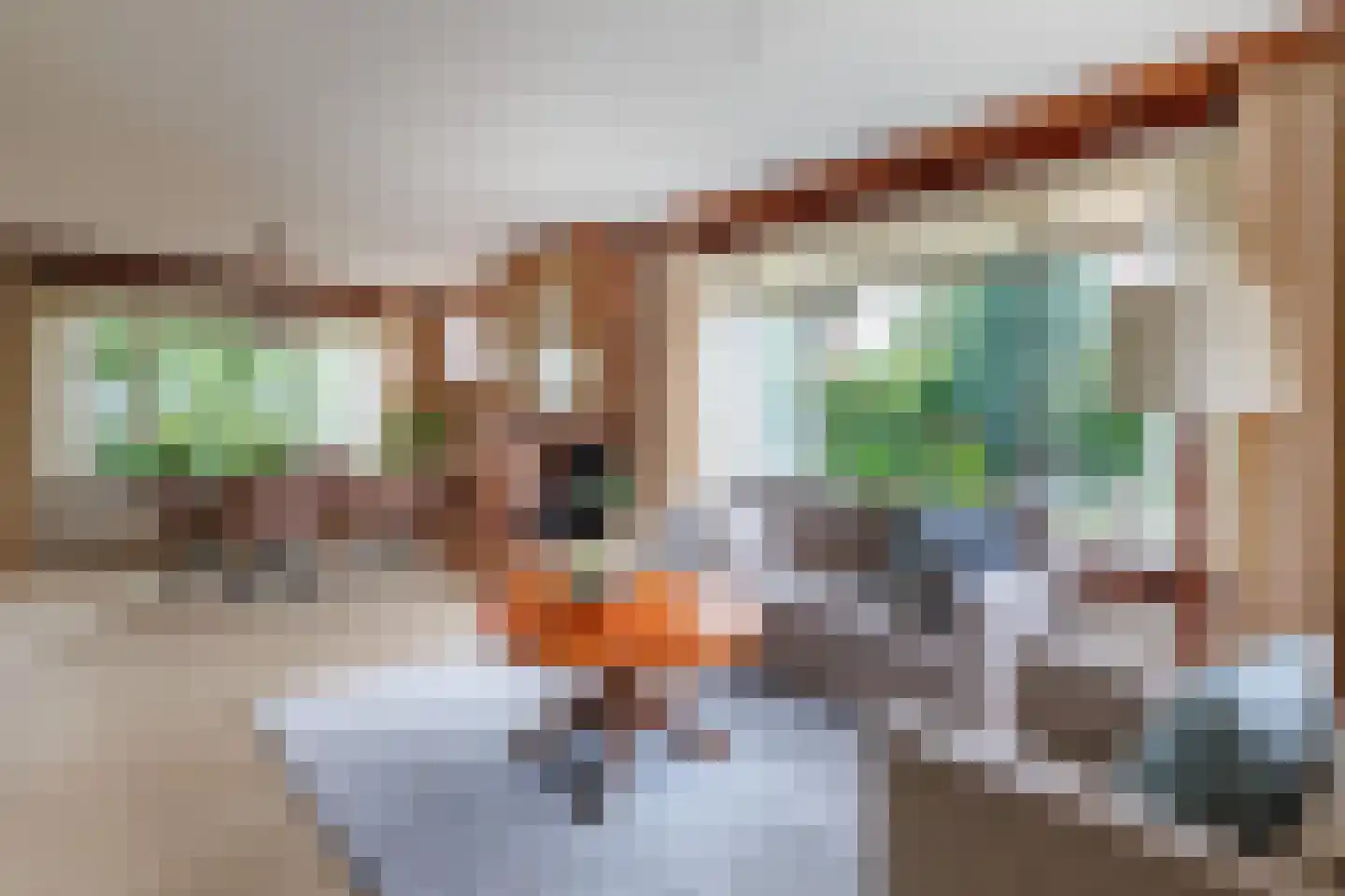 Steenbakkersweg 34 Hengelo thumbnail 7