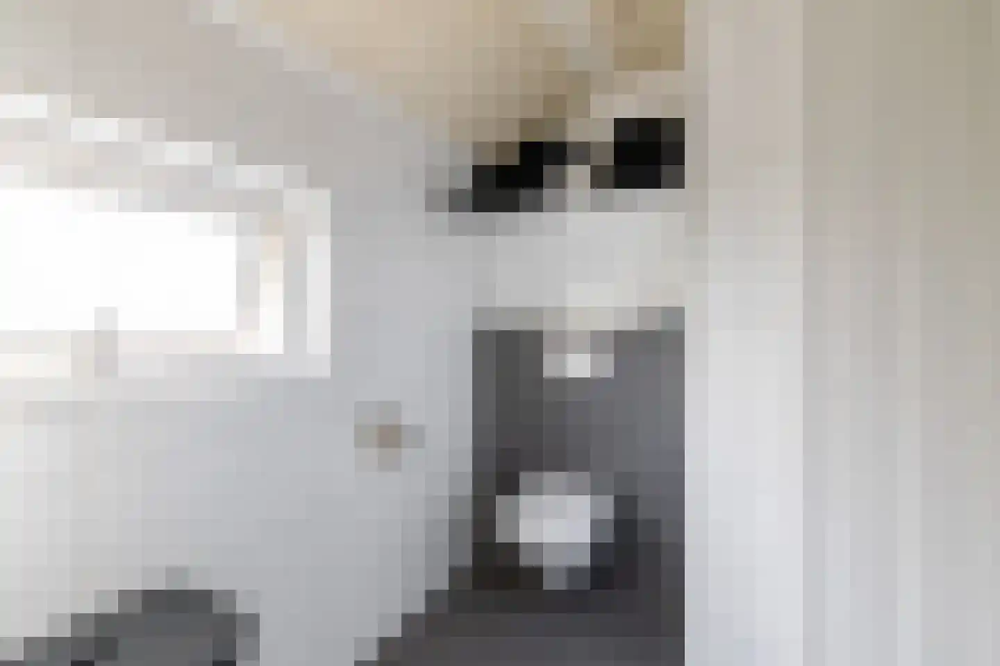 Steenbakkersweg 42 Hengelo thumbnail 25