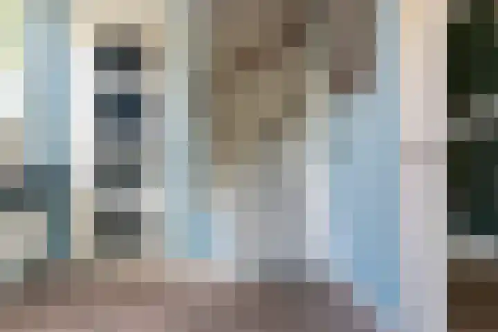 Steenbakkersweg 48 Rheden thumbnail 10
