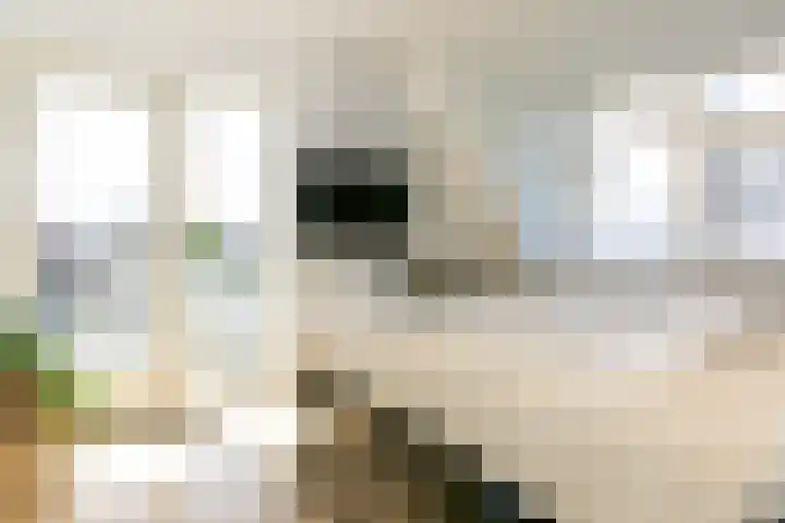 Steenbakkersweg 48 Rheden thumbnail 12