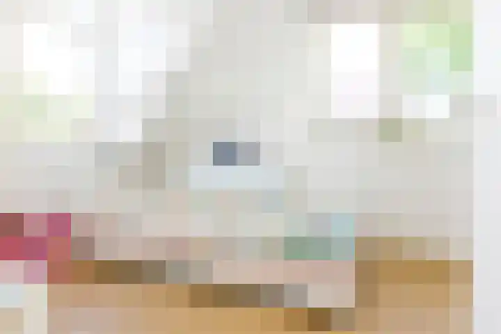 Steenbakkersweg 48 Rheden thumbnail 13
