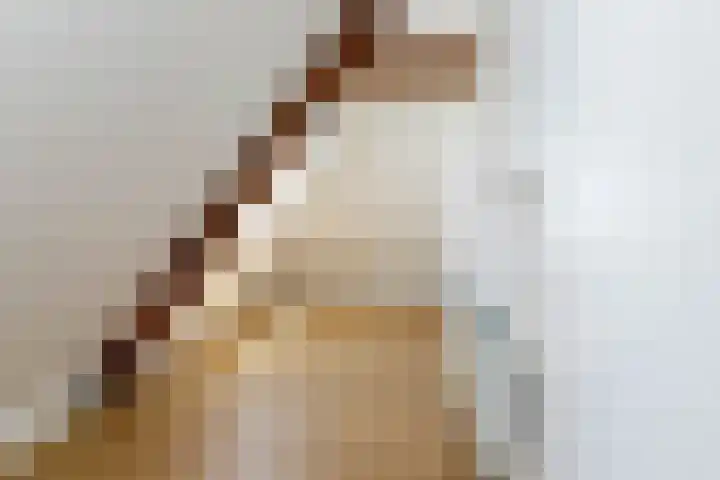 Steenbakkersweg 48 Rheden thumbnail 18