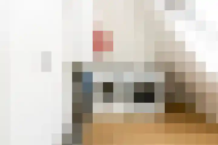 Steenbakkersweg 48 Rheden thumbnail 19