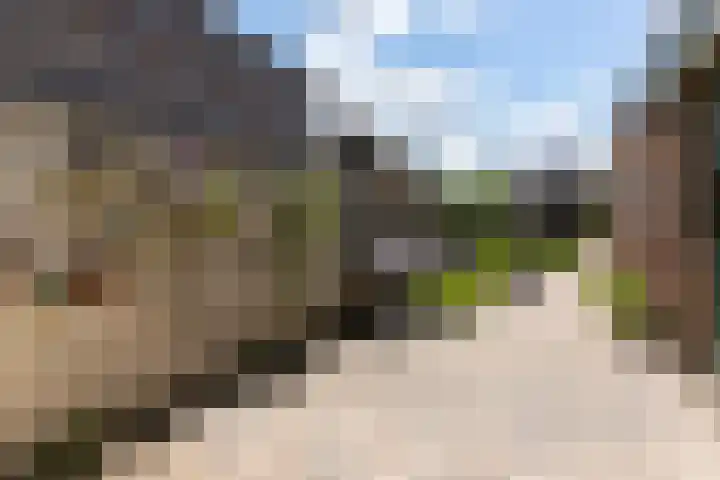 Steenbakkersweg 48 Rheden thumbnail 20