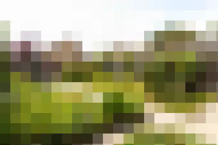 Steenbakkersweg 48 Rheden thumbnail 21