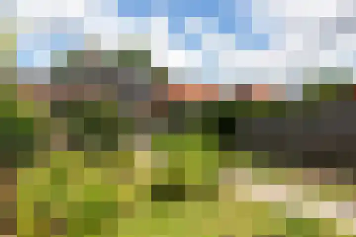Steenbakkersweg 48 Rheden thumbnail 22