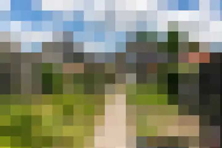Steenbakkersweg 48 Rheden thumbnail 23