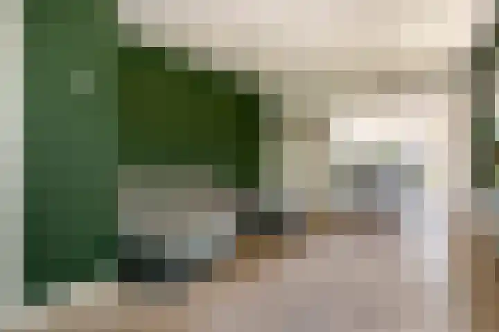 Steenbakkersweg 48 Rheden thumbnail 4