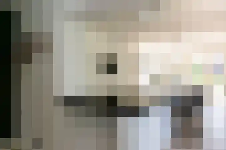Steenbakkersweg 48 Rheden thumbnail 5