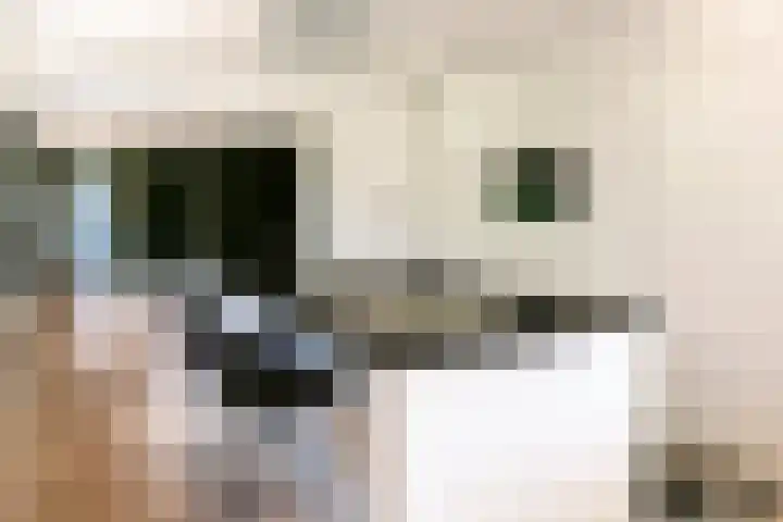Steenbakkersweg 48 Rheden thumbnail 6