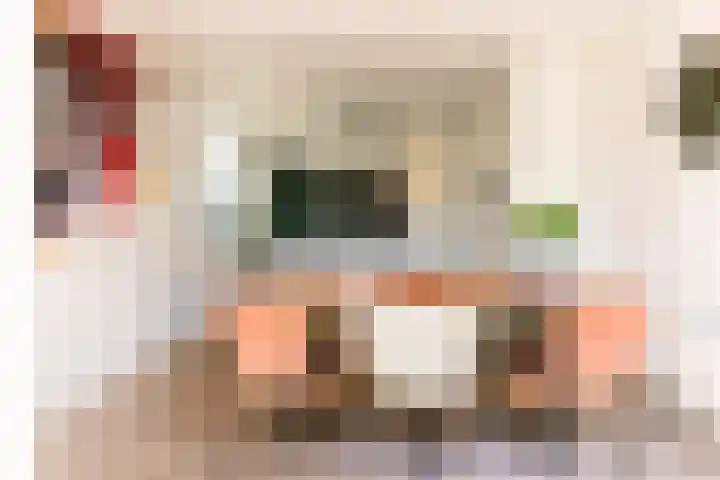Steenbakkersweg 48 Rheden thumbnail 7