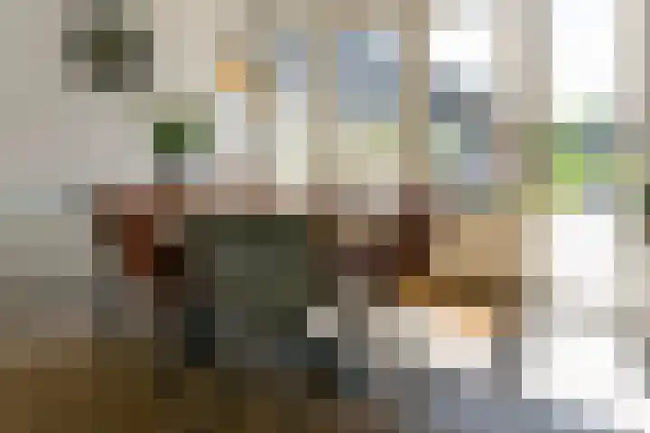 Steenbakkersweg 48 Rheden thumbnail 8