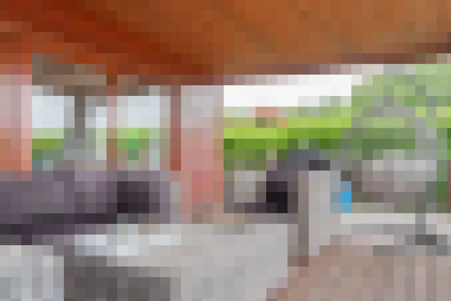 Steenbakkersweg 5 225 Erm thumbnail 36