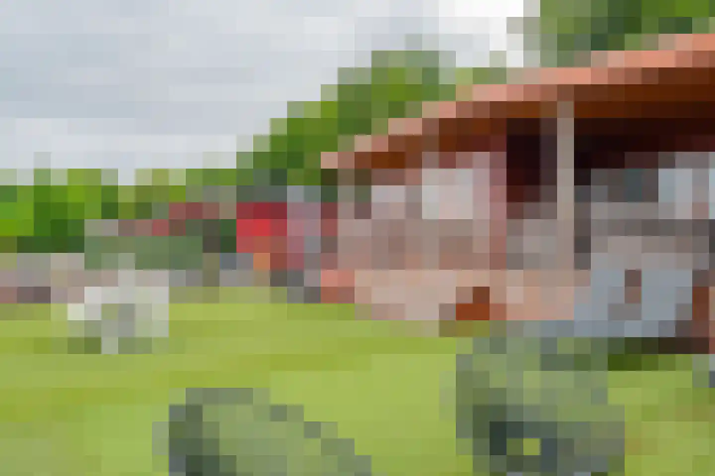 Steenbakkersweg 5 225 Erm thumbnail 42