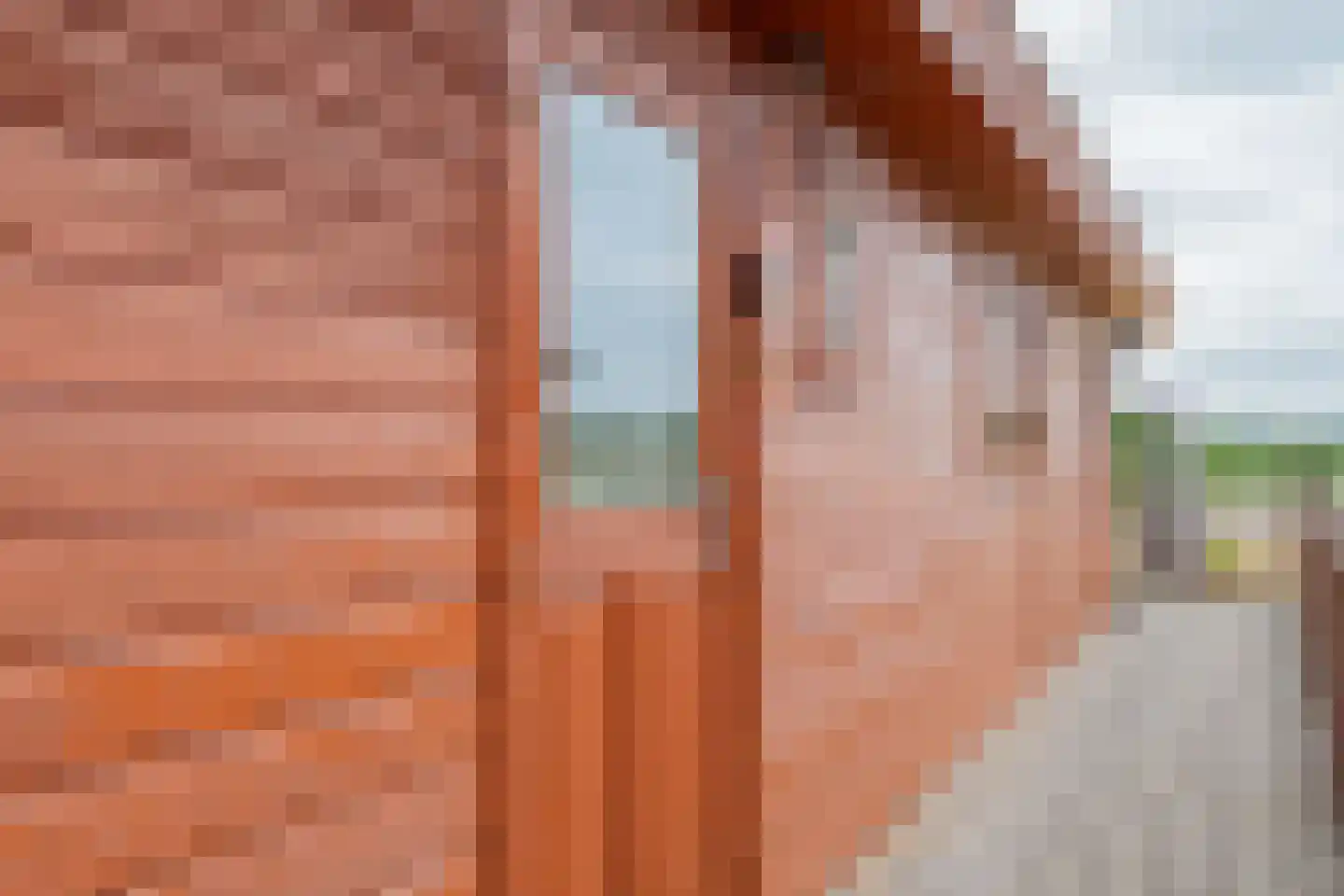 Steenbakkersweg 5 225 Erm thumbnail 5
