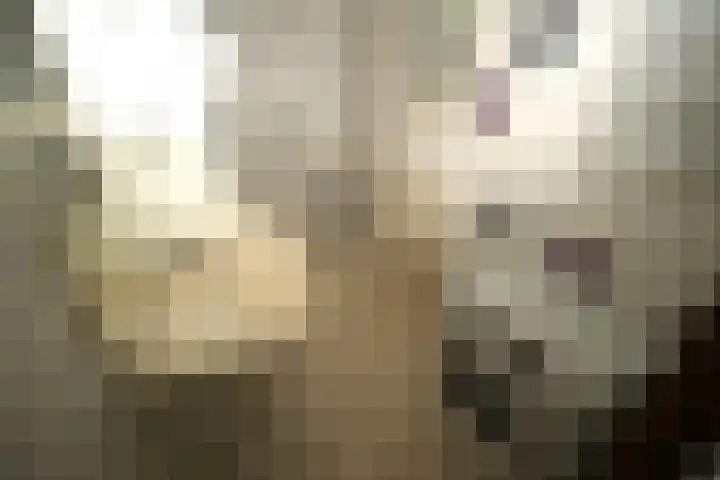 Steenbakkersweg 5 235 Erm thumbnail 10