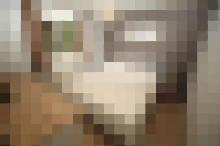 Steenbakkersweg 5 235 Erm thumbnail 11