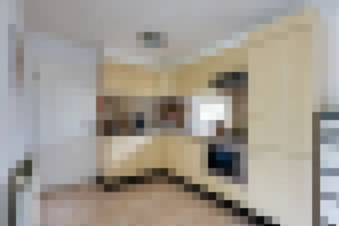 Steenbakkersweg 5 235 Erm thumbnail 12