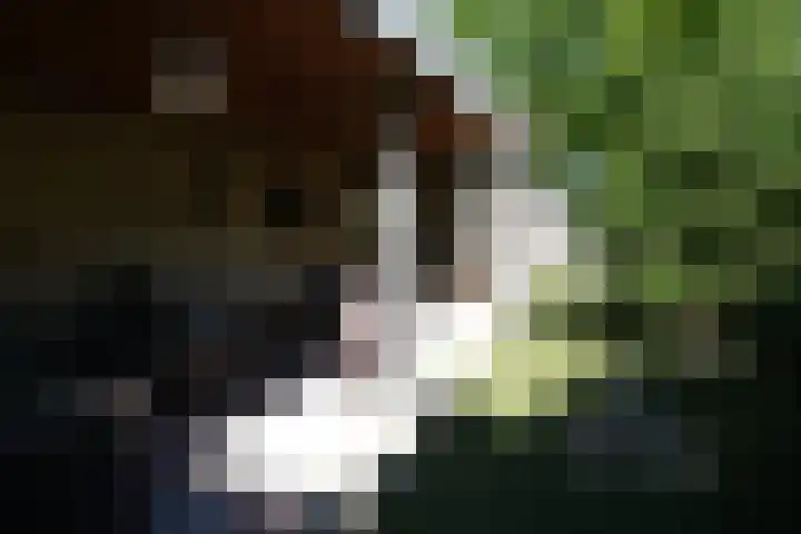 Steenbakkersweg 5 235 Erm thumbnail 12
