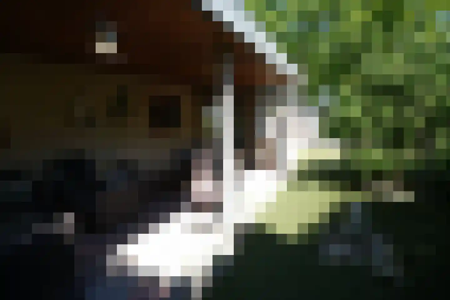 Steenbakkersweg 5 235 Erm thumbnail 12