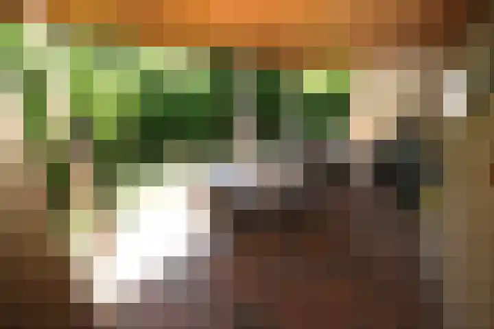 Steenbakkersweg 5 235 Erm thumbnail 14