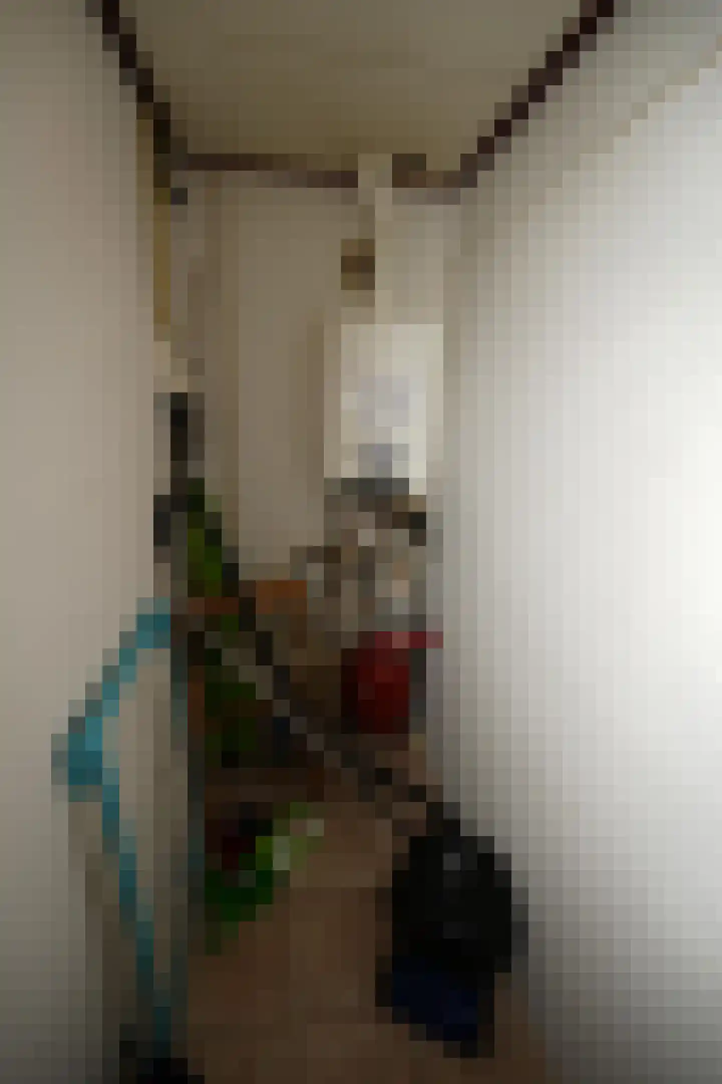 Steenbakkersweg 5 235 Erm thumbnail 16