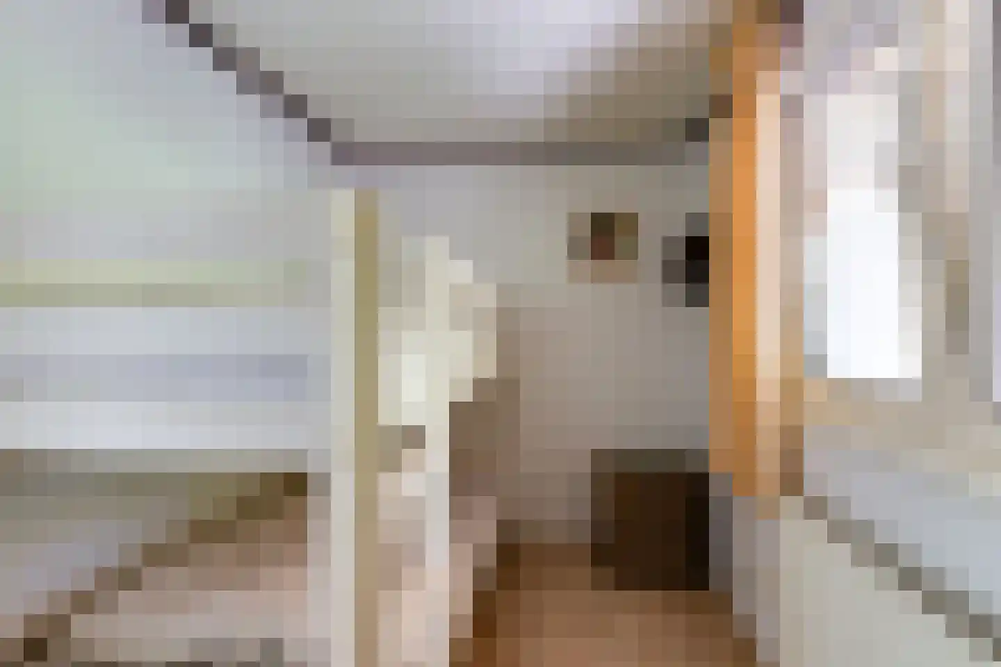 Steenbakkersweg 5 235 Erm thumbnail 18