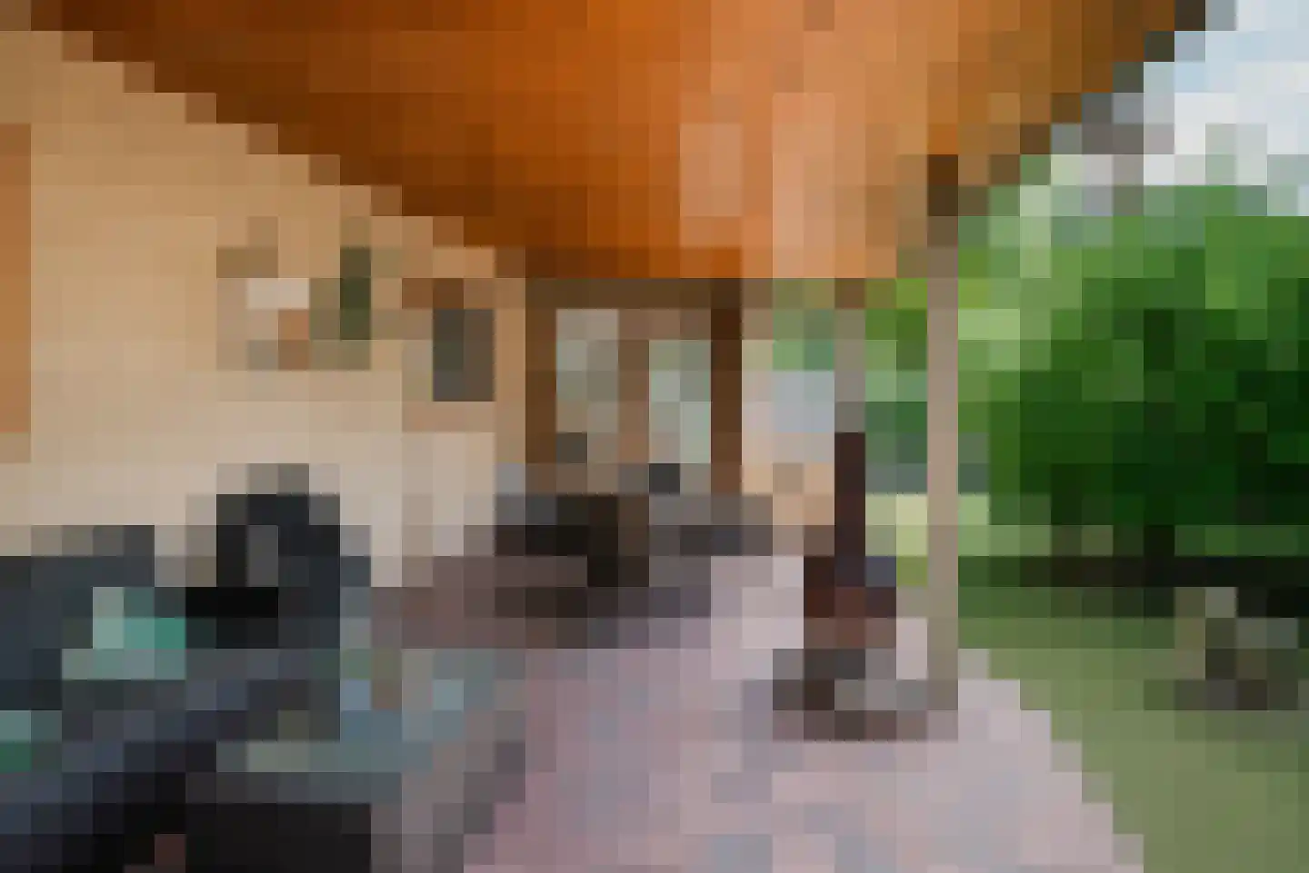 Steenbakkersweg 5 235 Erm thumbnail 23