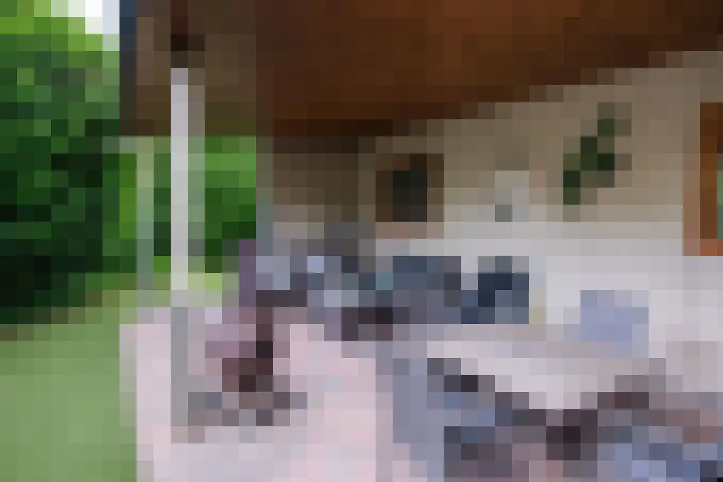 Steenbakkersweg 5 235 Erm thumbnail 24