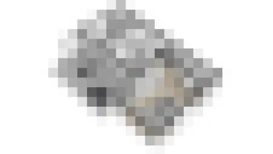 Steenbakkersweg 5 235 Erm thumbnail 31