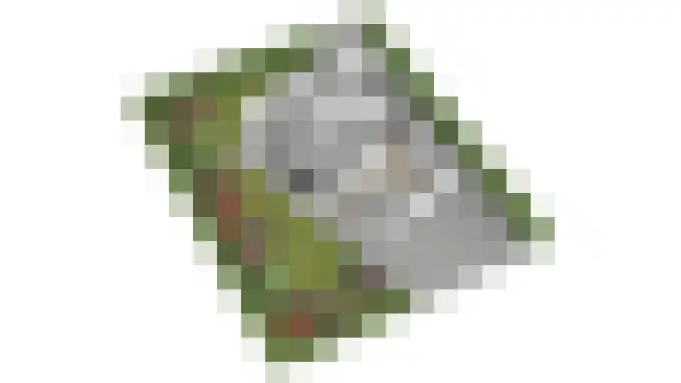Steenbakkersweg 5 235 Erm thumbnail 37