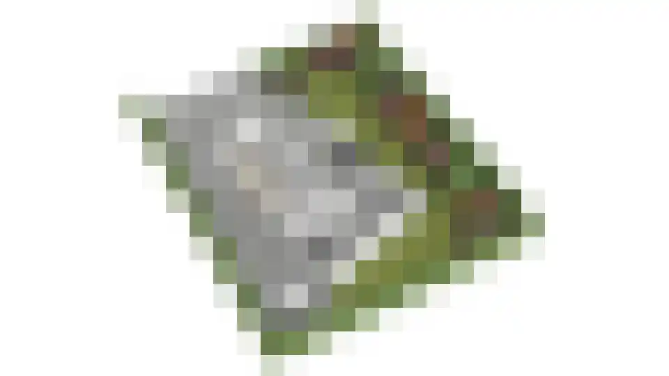 Steenbakkersweg 5 235 Erm thumbnail 38