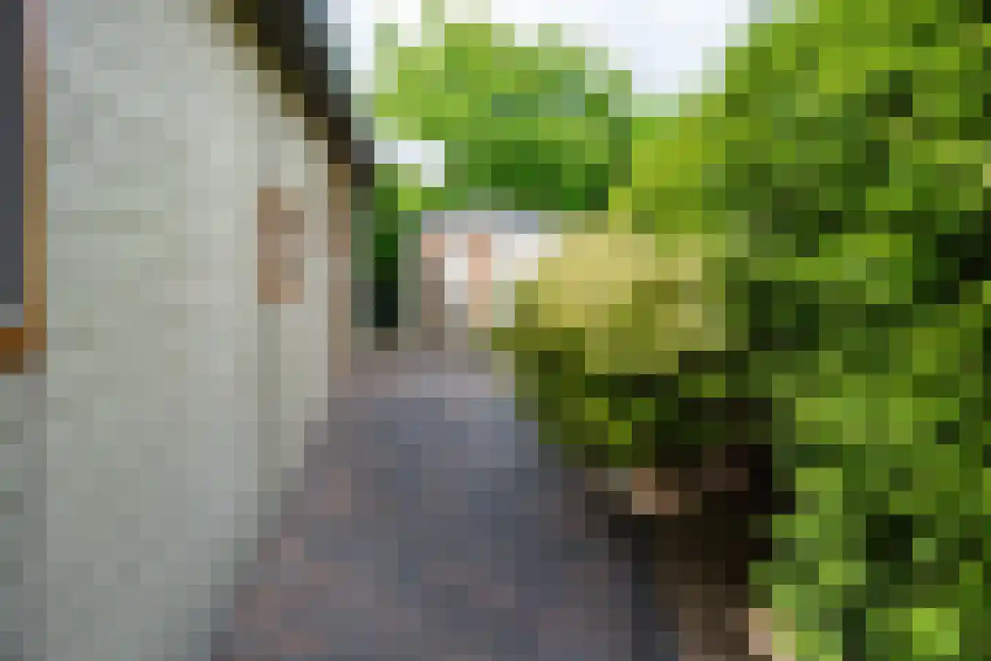 Steenbakkersweg 5 235 Erm thumbnail 4