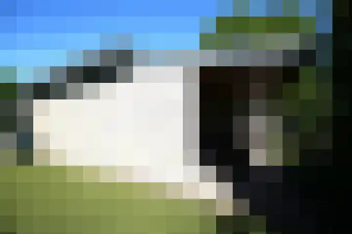 Steenbakkersweg 5 235 Erm thumbnail 6