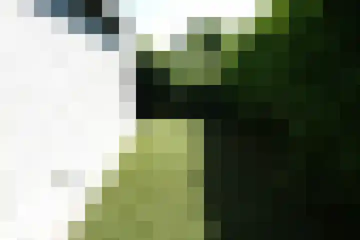 Steenbakkersweg 5 235 Erm thumbnail 7
