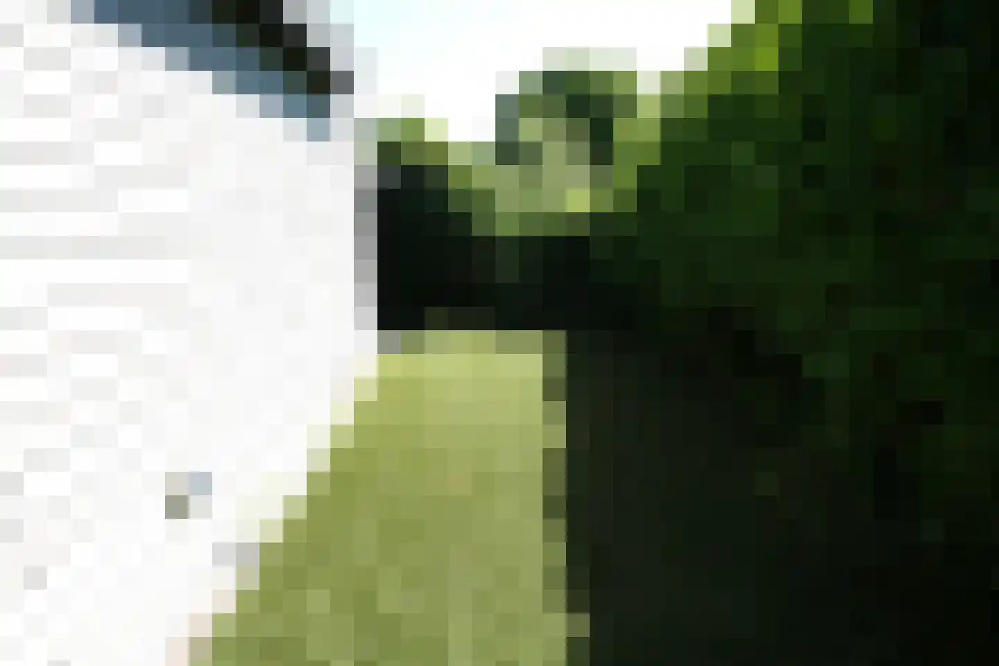 Steenbakkersweg 5 235 Erm thumbnail 7