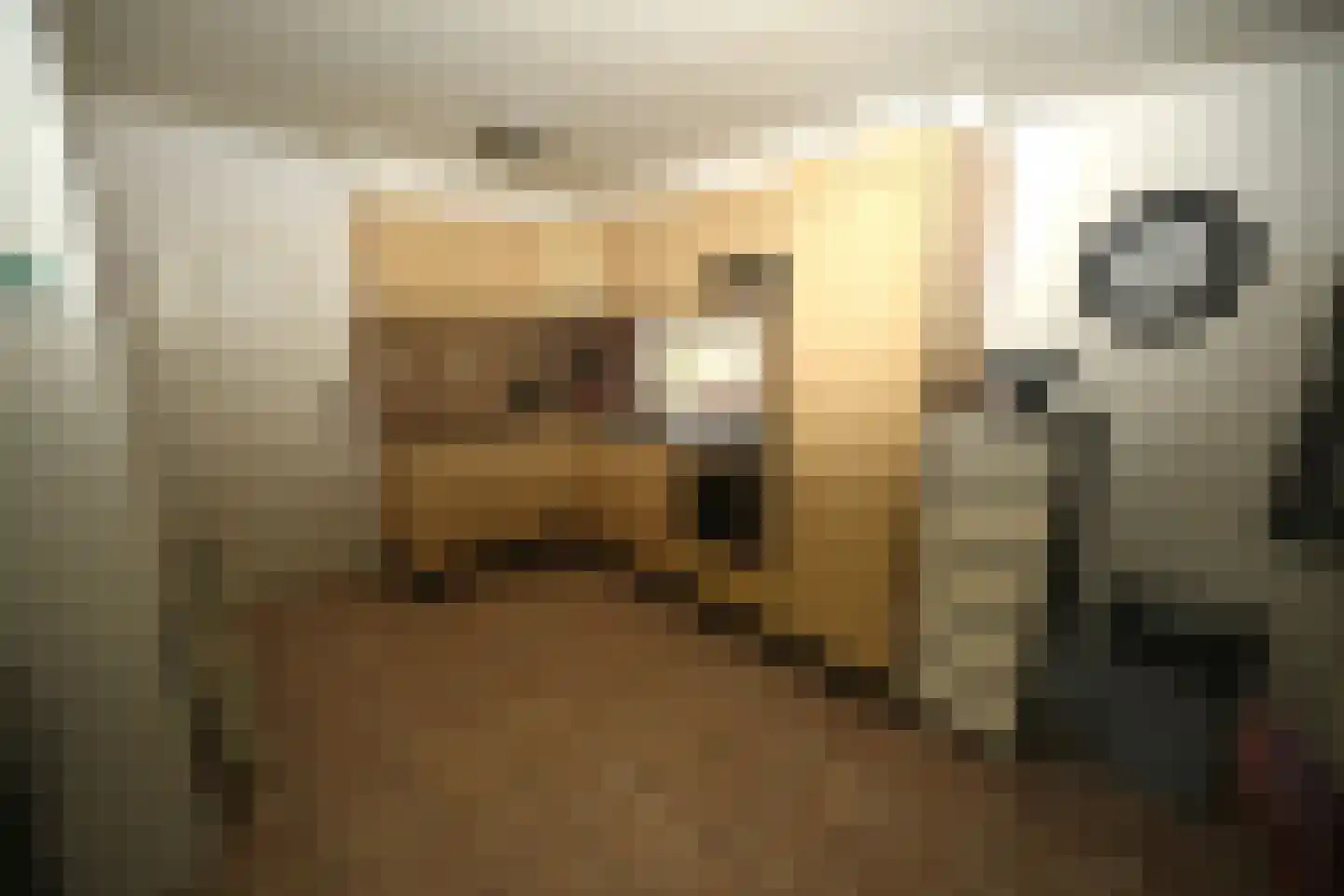 Steenbakkersweg 5 235 Erm thumbnail 8