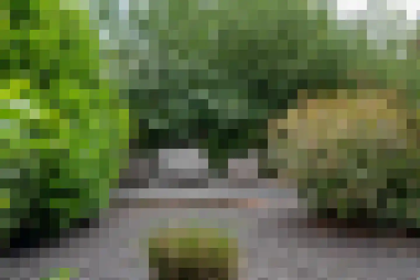 Steenbakkersweg 5 255 Erm thumbnail 10
