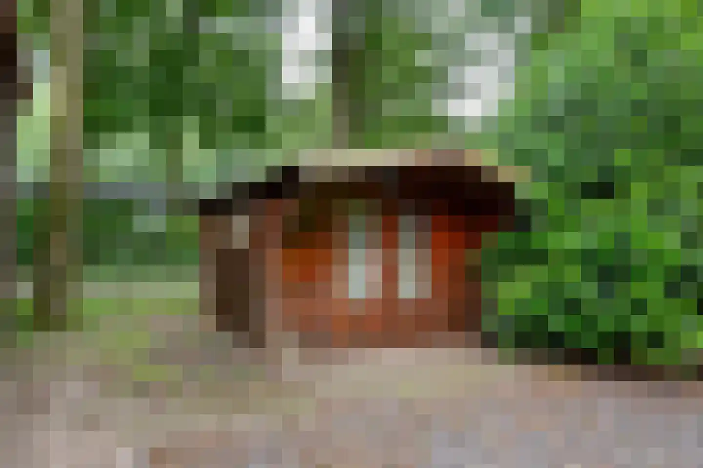 Steenbakkersweg 5 255 Erm thumbnail 12