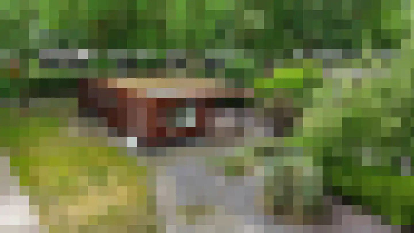 Steenbakkersweg 5 255 Erm foto 3