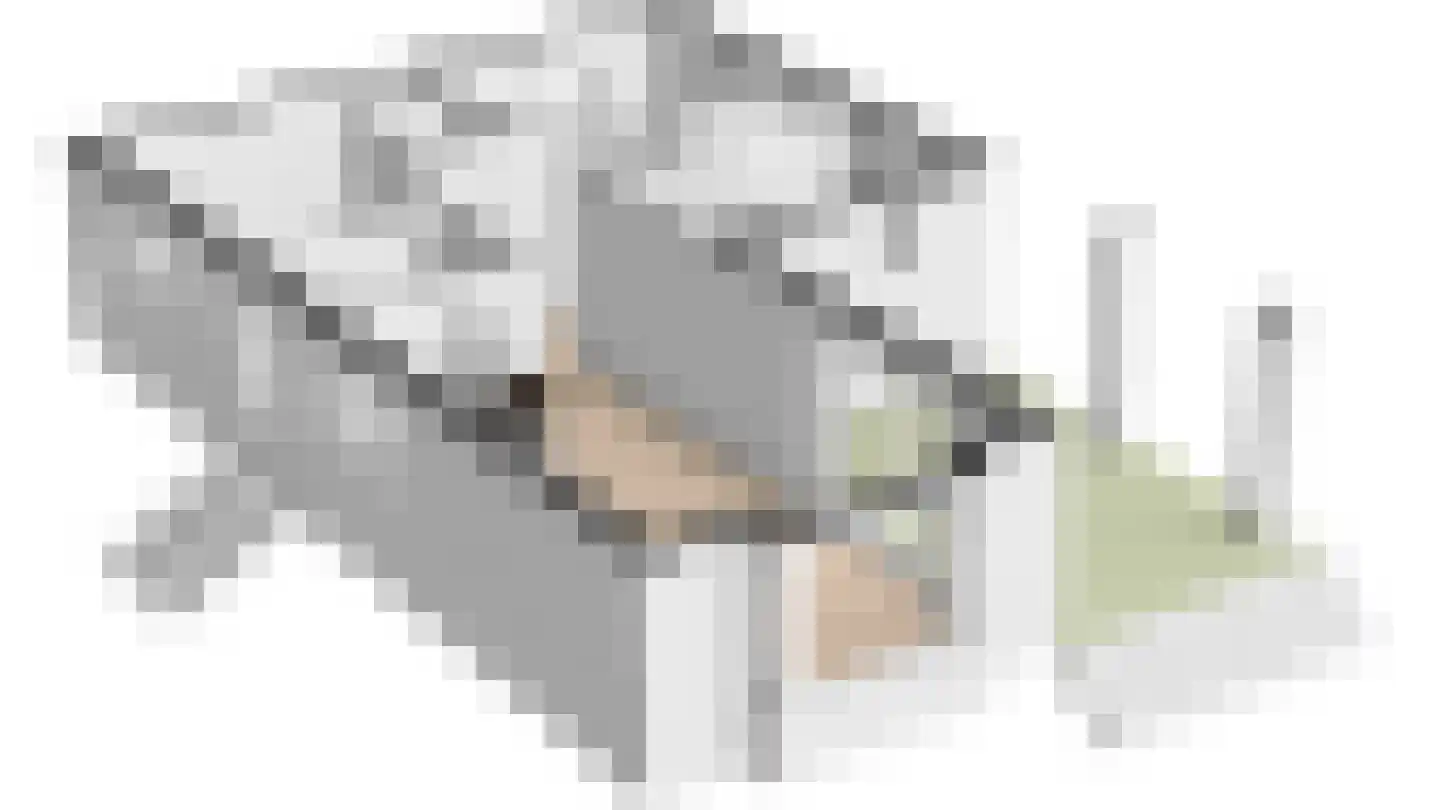 Steenbakkersweg 5 255 Erm thumbnail 39