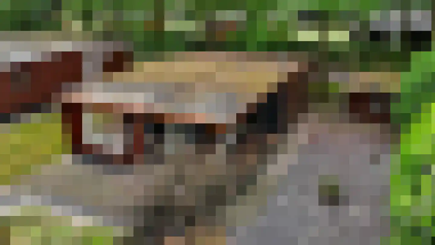 Steenbakkersweg 5 255 Erm thumbnail 4