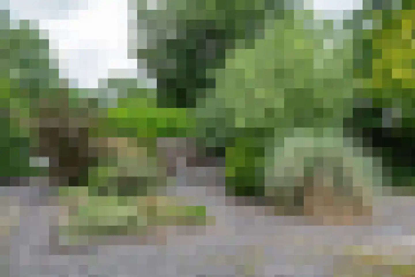 Steenbakkersweg 5 255 Erm thumbnail 8
