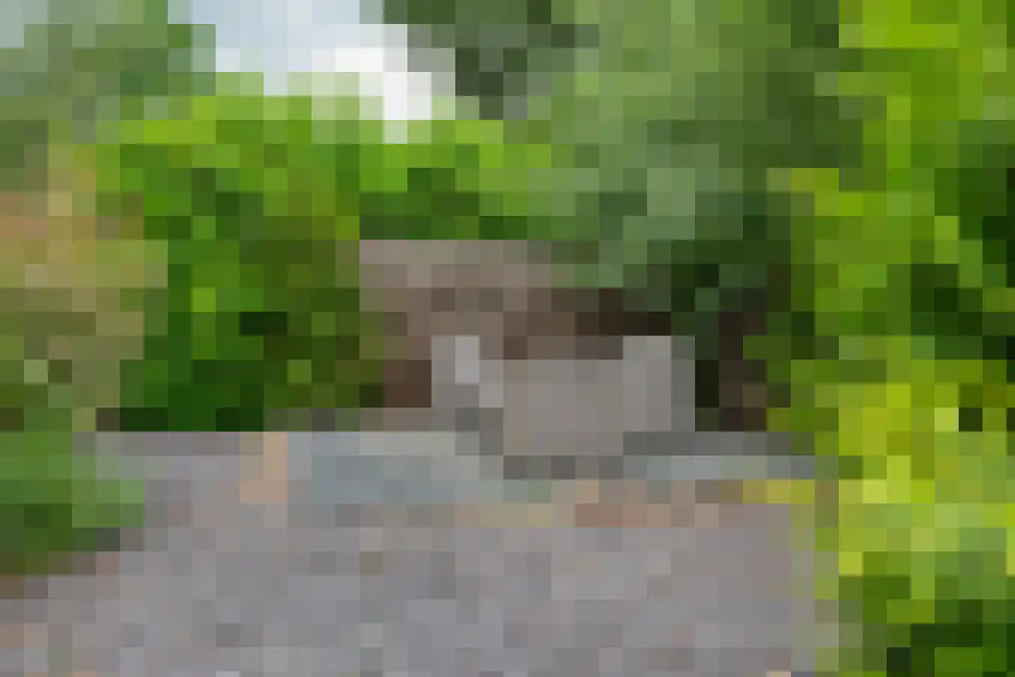 Steenbakkersweg 5 255 Erm thumbnail 9